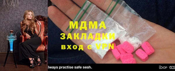 хмурый Аркадак