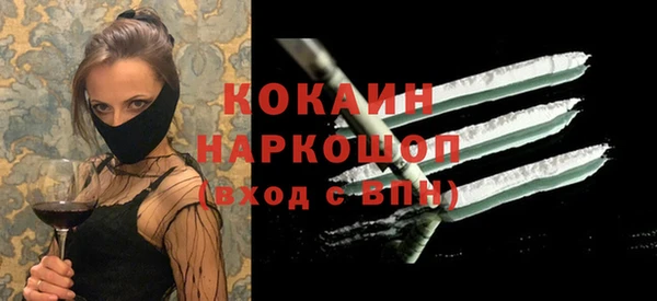 хмурый Аркадак