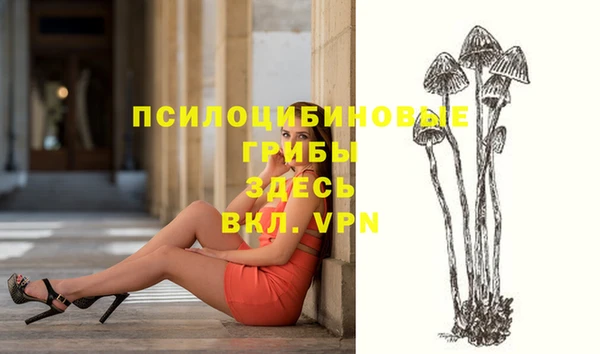 прущие грибы Арсеньев