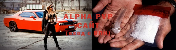 хмурый Аркадак