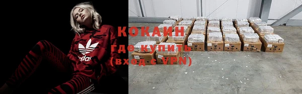 прущие грибы Арсеньев