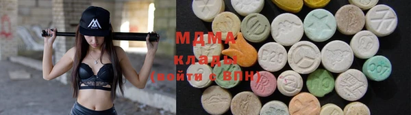 хмурый Аркадак
