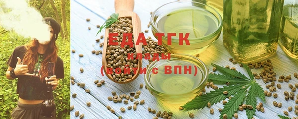 хмурый Аркадак