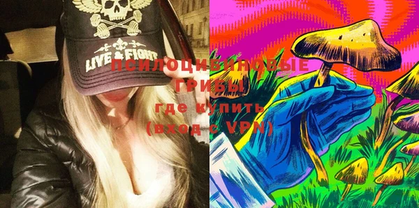 хмурый Аркадак