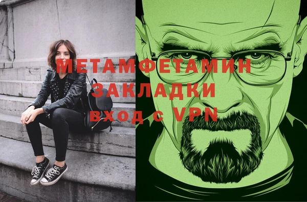 хмурый Аркадак