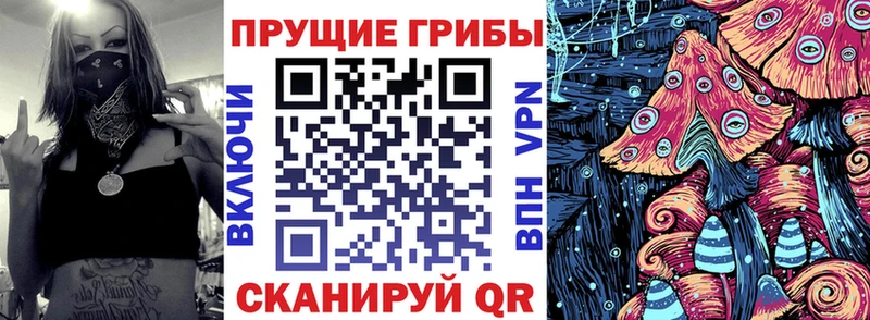 как найти наркотики  Лукоянов  Псилоцибиновые грибы ЛСД 